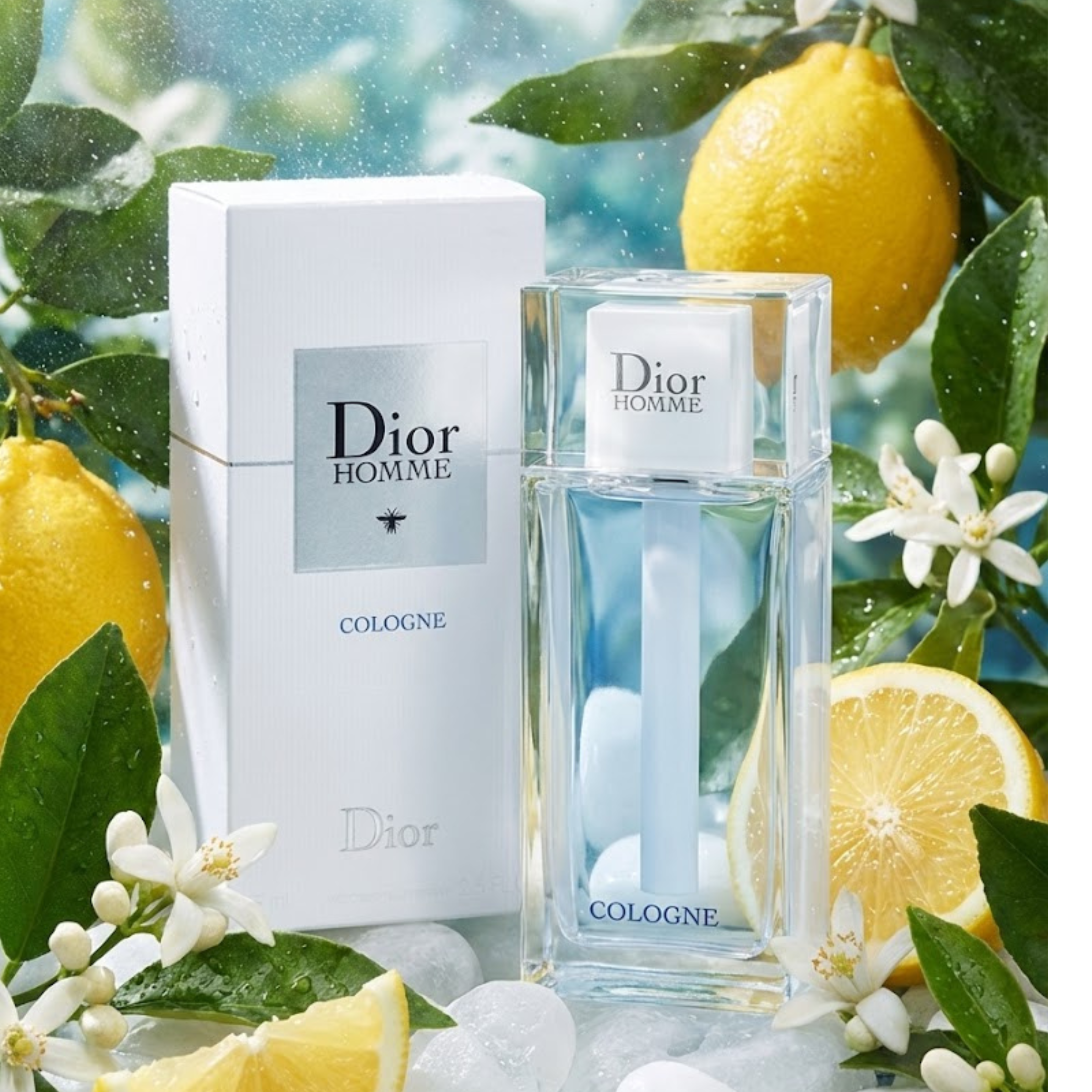 Dior Homme Cologne 200ML